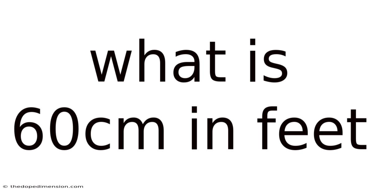 What Is 60cm In Feet